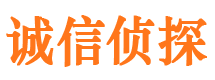 复兴市调查公司